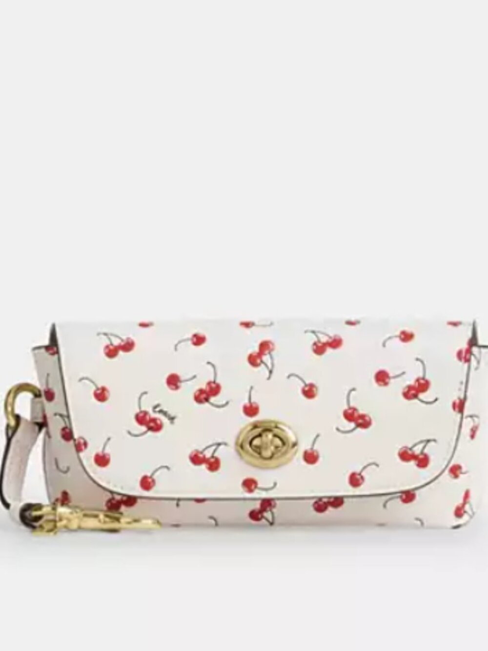 Sunglass Case With Cherry Print